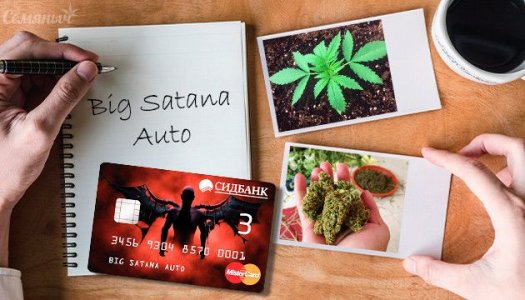 big-satana-auto__5ijgxn59RHVhPKMs.jpg big-satana-auto__5ijgxn59RHVhPKMs.jpg