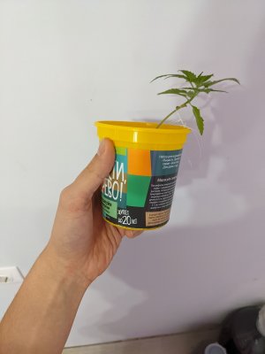 PXL_20221108_204405277.jpg