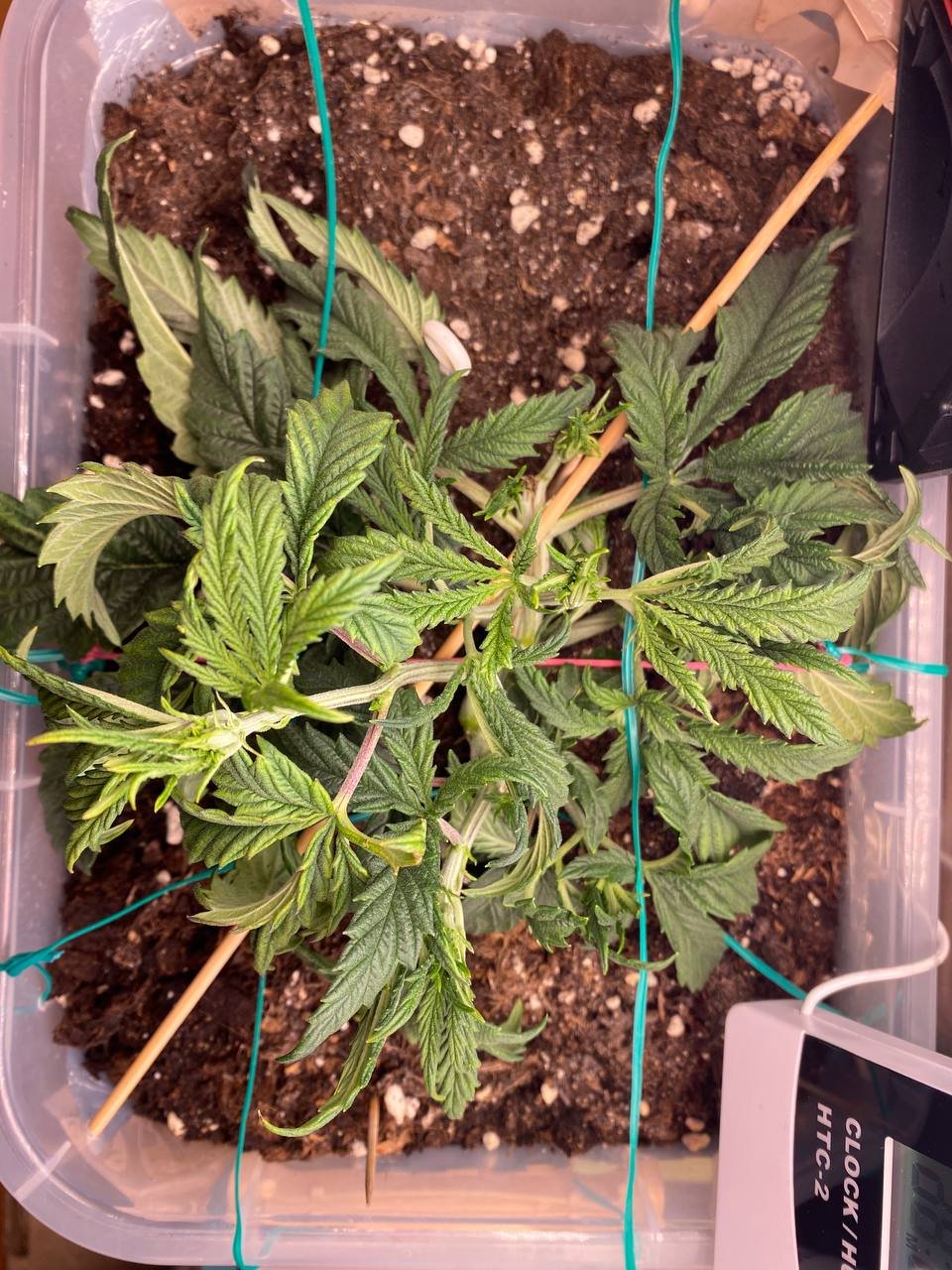 23..jpg