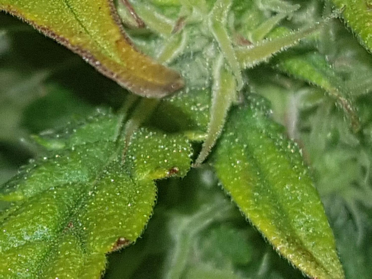 20221118_232247.jpg