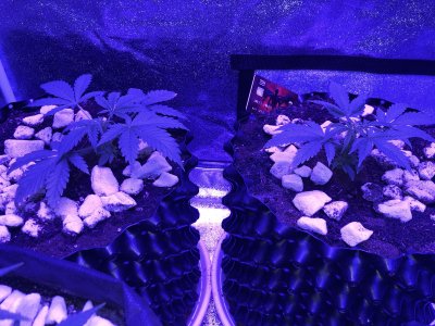 20221128_180602736_iOS.jpg