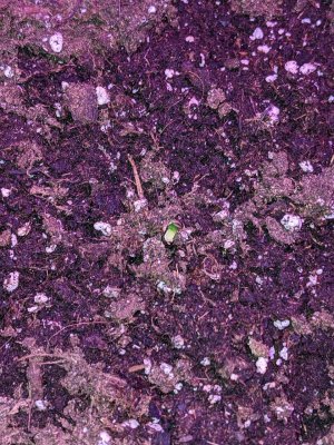day11111.jpg