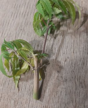 20221202_125251.jpg