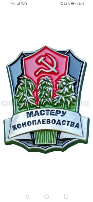 Screenshot_20221204_134225_ru.yandex.searchplugin.jpg