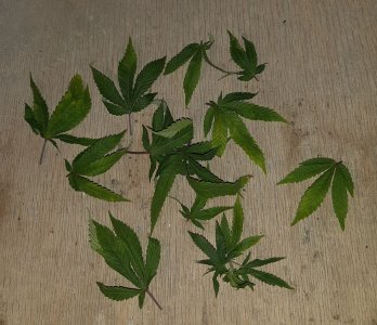 20221206_100503.jpg