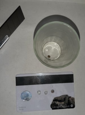 20221211_205848.jpg