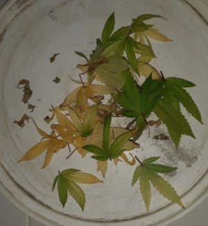 20221212_120931.jpg