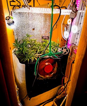 PSX_20221219_211919.jpg