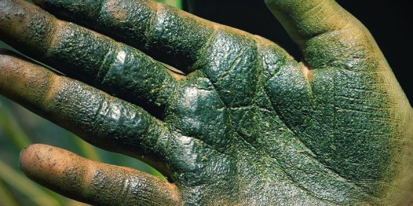 FINGER-HASH.jpg