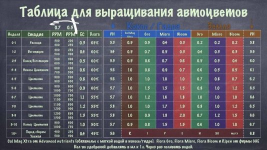 A04542F2-73F6-433F-B053-743B69EAC611.jpeg A04542F2-73F6-433F-B053-743B69EAC611.jpeg