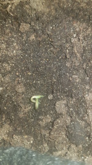 20221224_150256.jpg