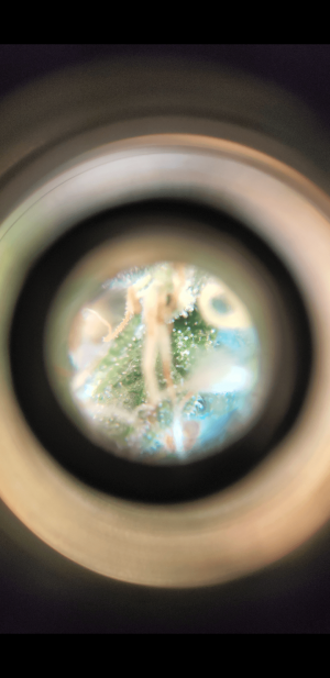 S21227-105451.png
