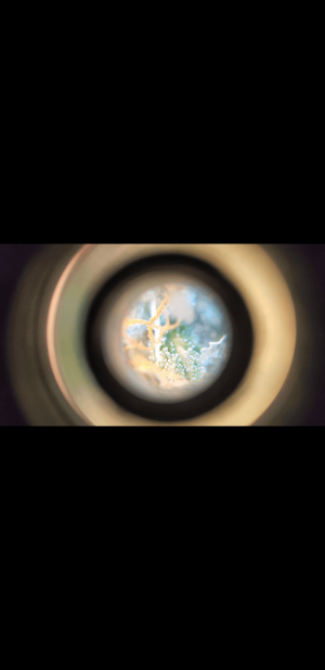 S21227-105433.png