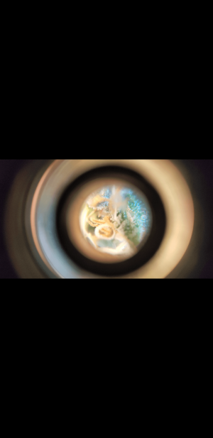 S21227-105441.png