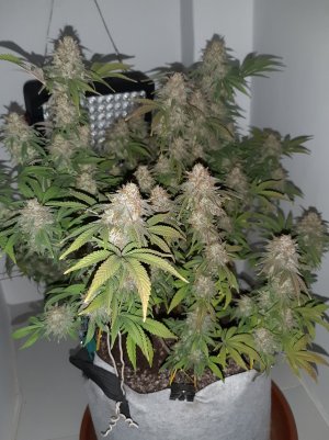 20221231_202435.jpg