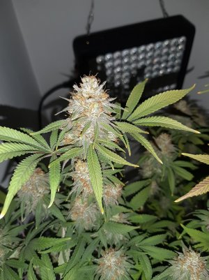 20221231_202421.jpg