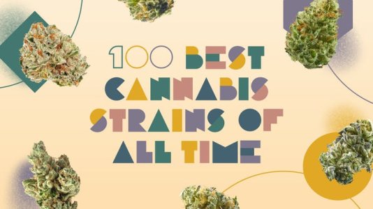 Leafly.jpg