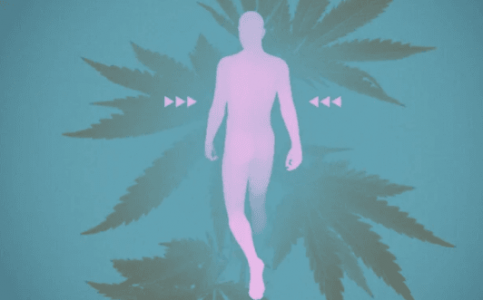 1673891253637.png