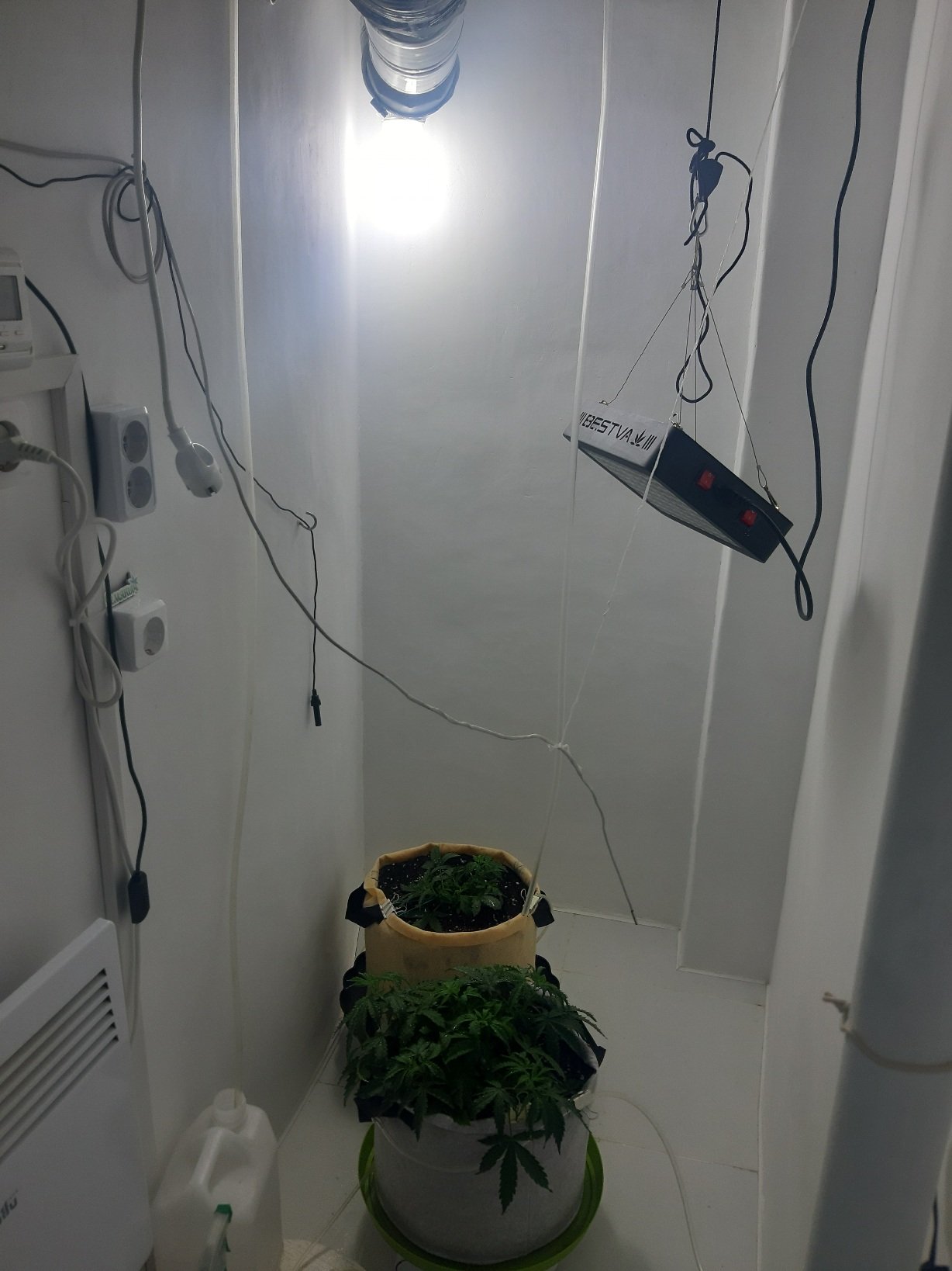 20230122_084735.jpg