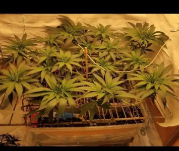 S30123-152324(1).jpg