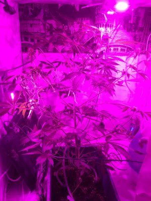 image-02-02-23-22-45.jpeg