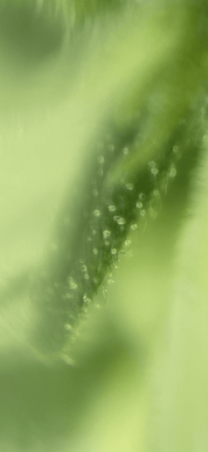 4B240C49-EE3A-45DB-B37B-FB204649990E.png