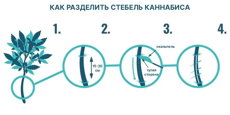 1.jpg 1.jpg