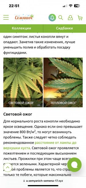 5AA08726-CF1D-4C5C-A873-4F49A1222F72.png