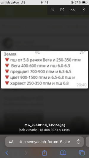 117147C9-E8AC-40E2-9641-DF16946A9D2B.png