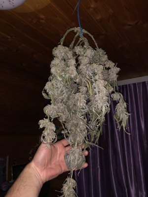 IMG_8053.JPG
