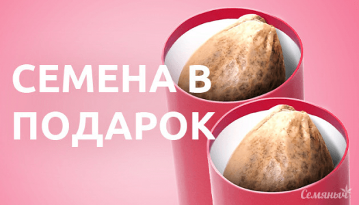 1678453664713.png