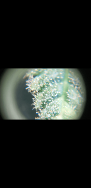 S30311-103625.png