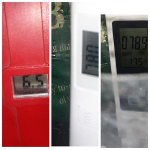 MyCollages.jpg