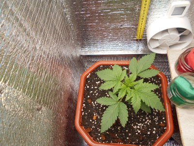 DSCN0464.JPG