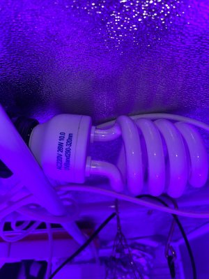 E4F6E2BF-F44B-425A-8021-DDC01E6DD785.jpeg