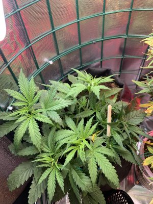 IMG_0689.JPG
