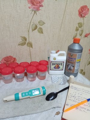 IMG_20230415_194528_7.jpg