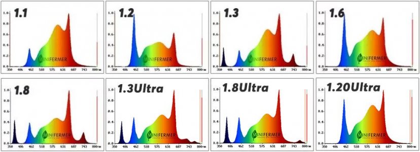 pamyatka-v1.jpg