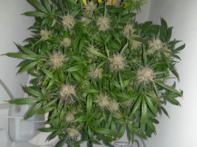 20230425_175811.jpg