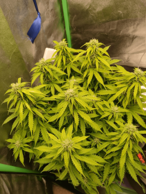 1682437877784.png