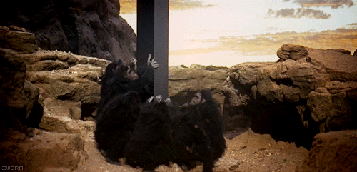 938454_original.gif