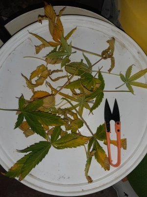 20230513_101723.jpg