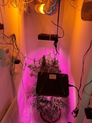 20230513_104718.jpg