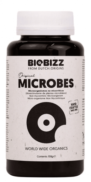 Microbes.png
