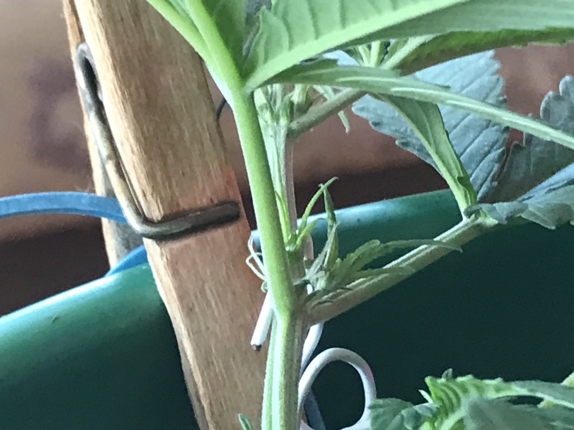 F0525007-C917-4D8F-8C09-33F8B49A9238.jpeg