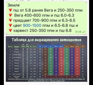 Screenshot_20220804-194933_Browser.jpg