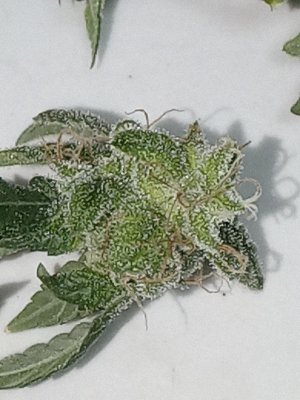 mir_20230526_215054.jpg