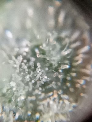 mir_20230531_094755.jpg