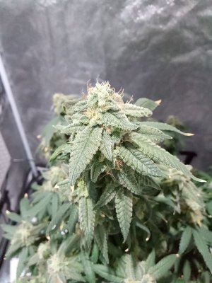 mir_20230531_100118.jpg