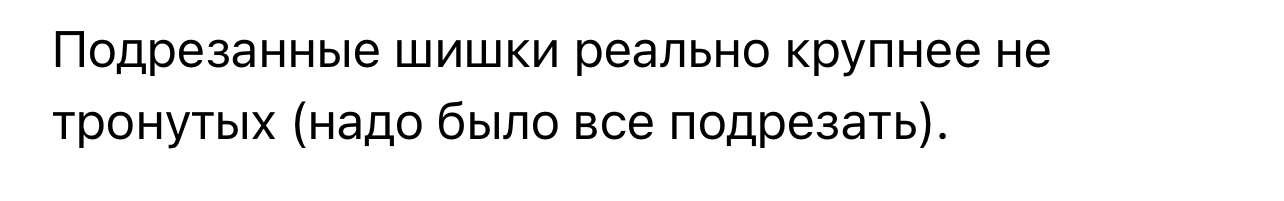 IMG_7056.jpeg